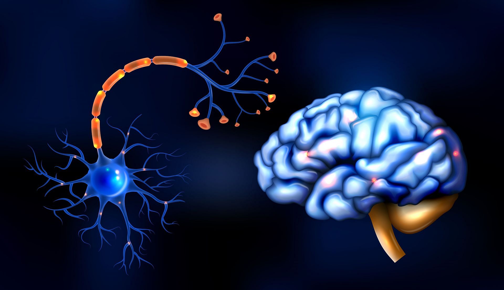 Impacts your prefrontal cortex (Image via Freepik)